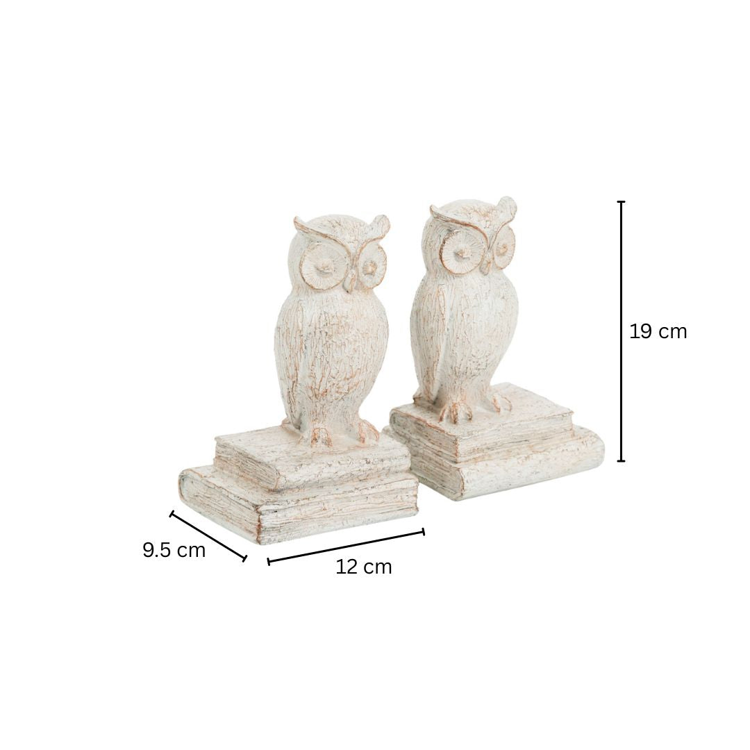 Barred Owl Bookends, Set of 2 - Vintage White