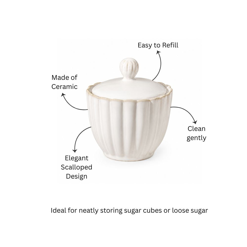 Scallop Sugar Jar - Ivory
