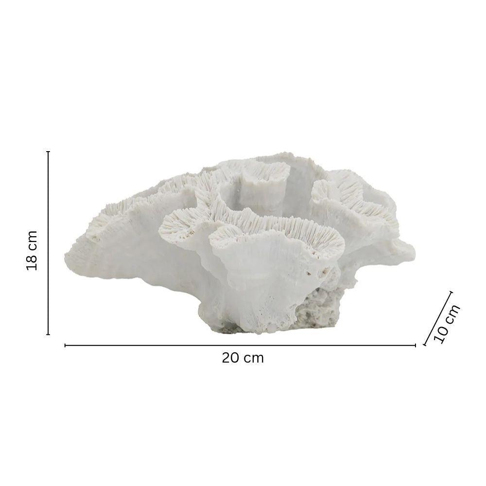 Elkhorn Coral Sculpture - White