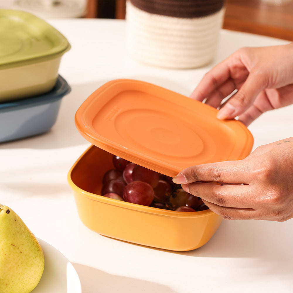Everfresh Square Food Containers 740ml, Set of 3 - Assorted