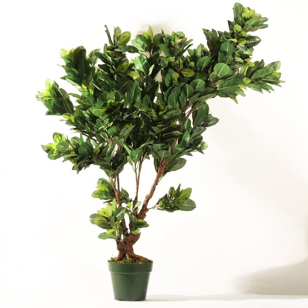 Ficus Audrey Artificial Potted Plant - Tall