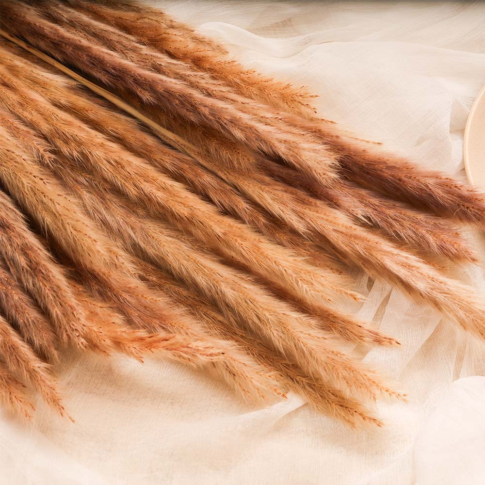 Foxtail Faux  Bunch - Mocha