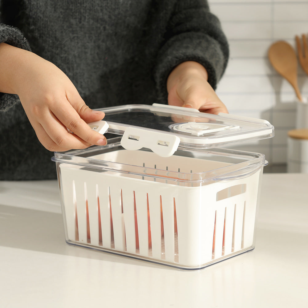 Frais Fridge Dated Box Medium - Clear White