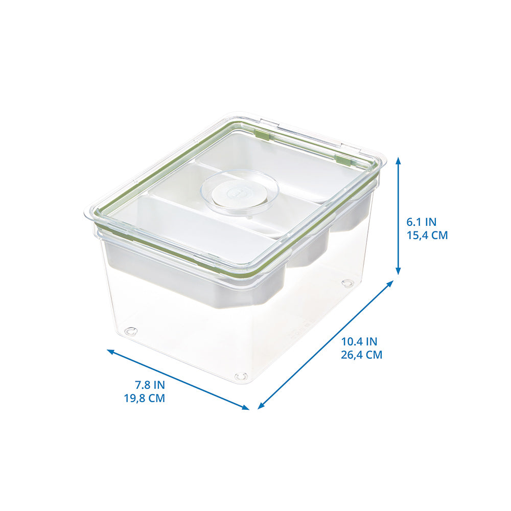 Tall Produce Storage Container with Dividers Large