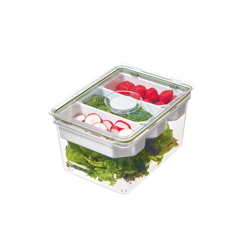 Tall Produce Storage Container with Dividers Large