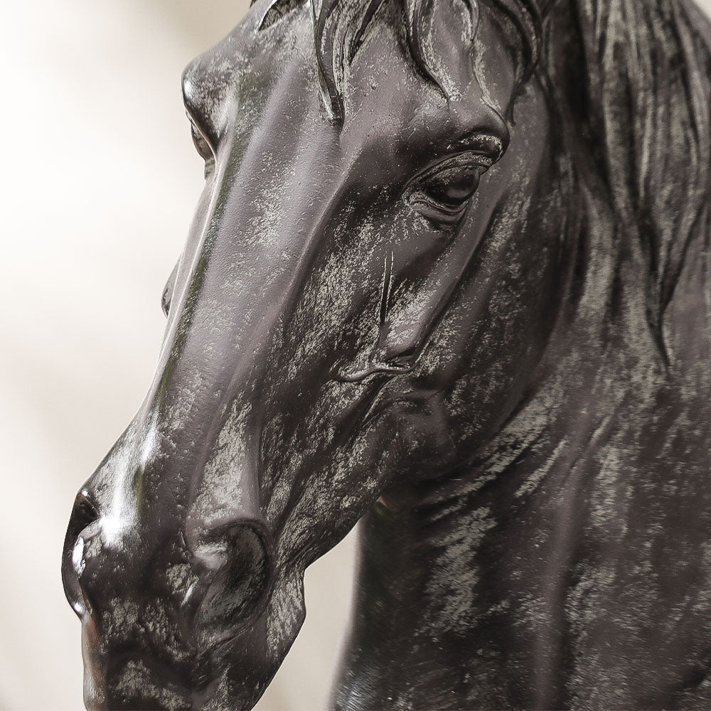 Enhabit Horse Head Decorative Sculpture - Black