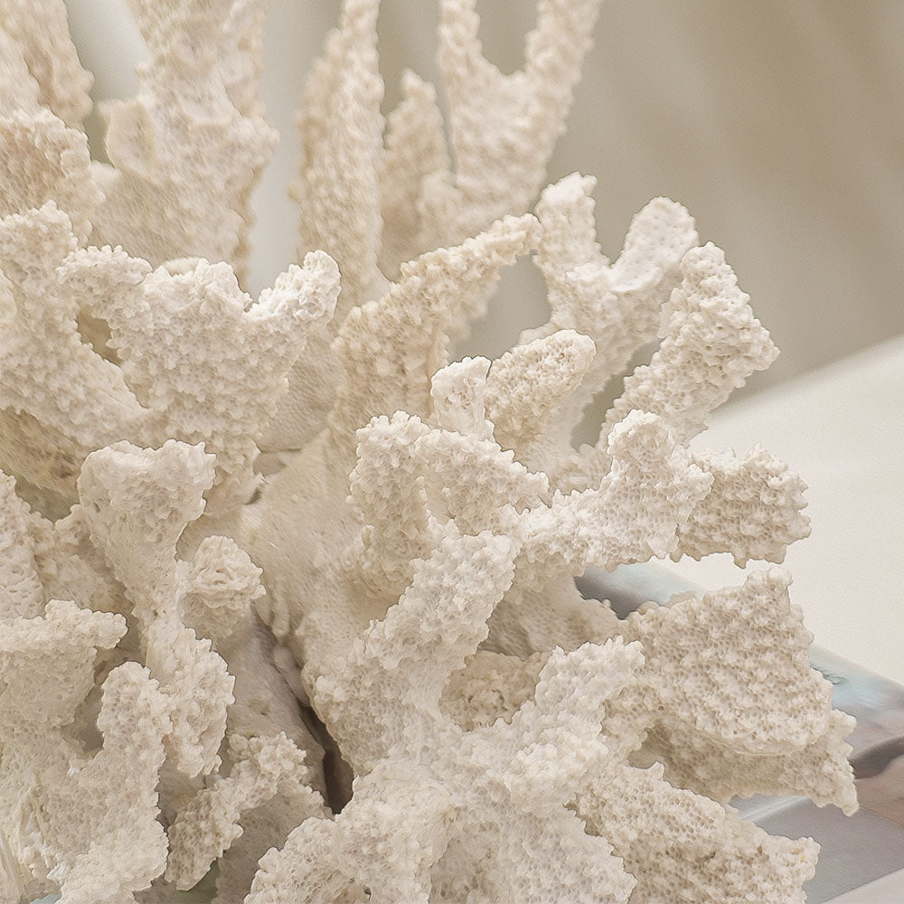 Hydra Coral Decorative Sculpture - White