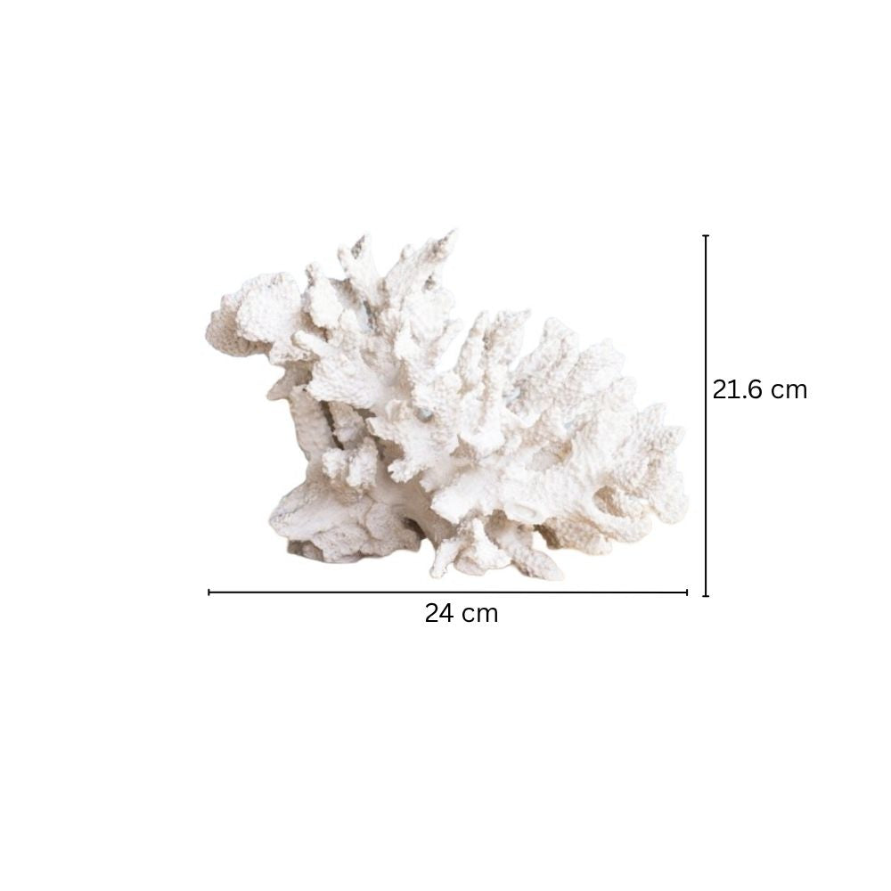 Hydra Coral Decorative Sculpture - White