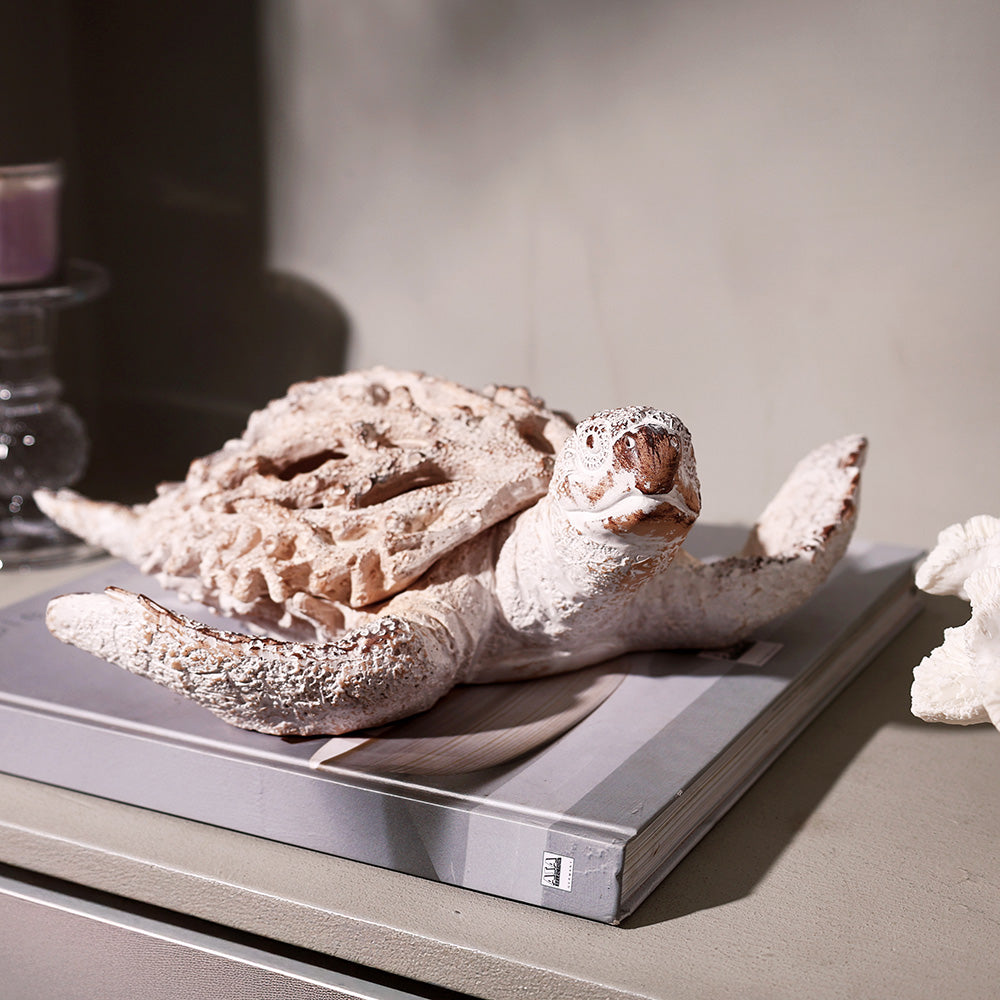 Coral Turtle Sculpture Large - Vintage White