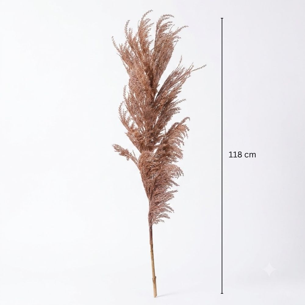 Latin Pampas Faux Stem - Brown