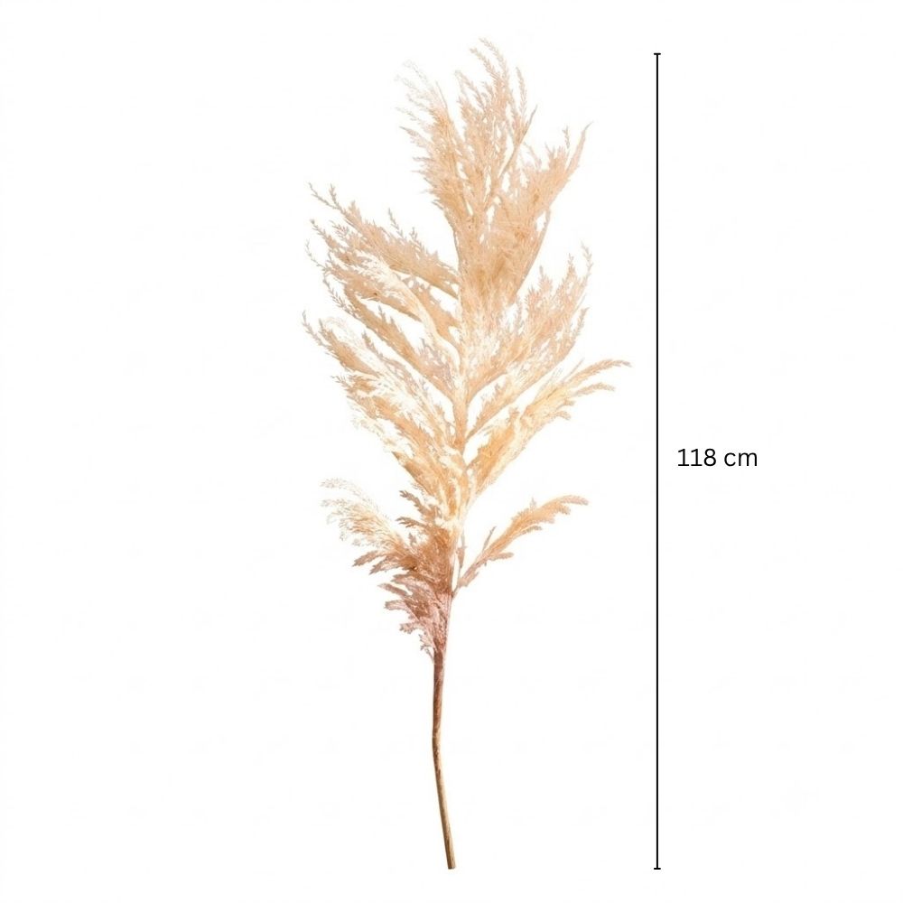 Latin Pampas Faux Stem - Cream