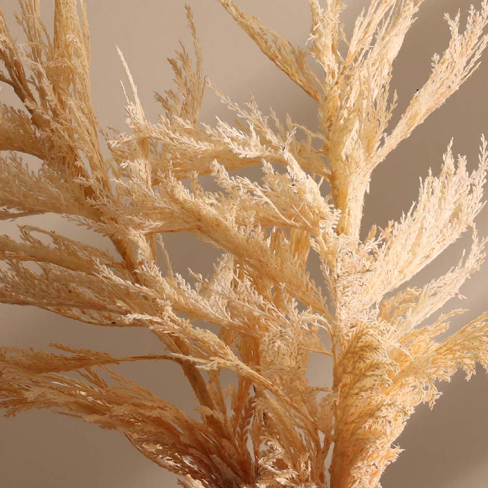 Latin Pampas Faux Stem - Cream