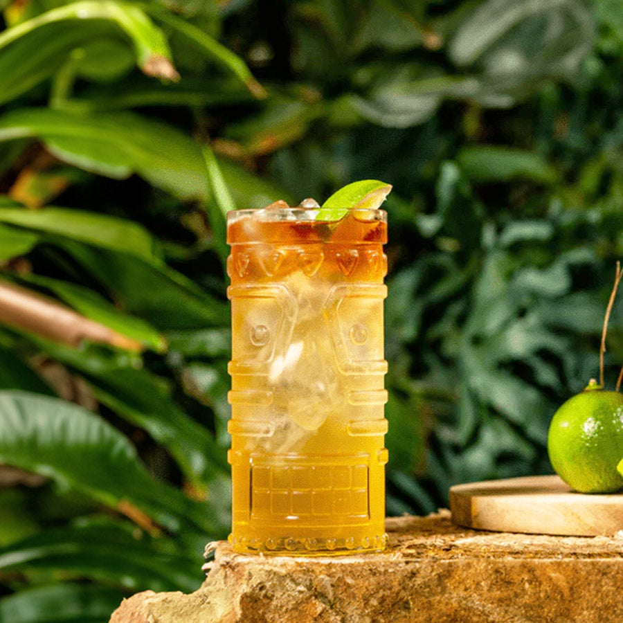 Mai Tai Cocktail Glasses 490ml, Set of 4