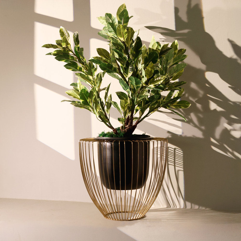 Petro Black Planter with Gold Metal Stand