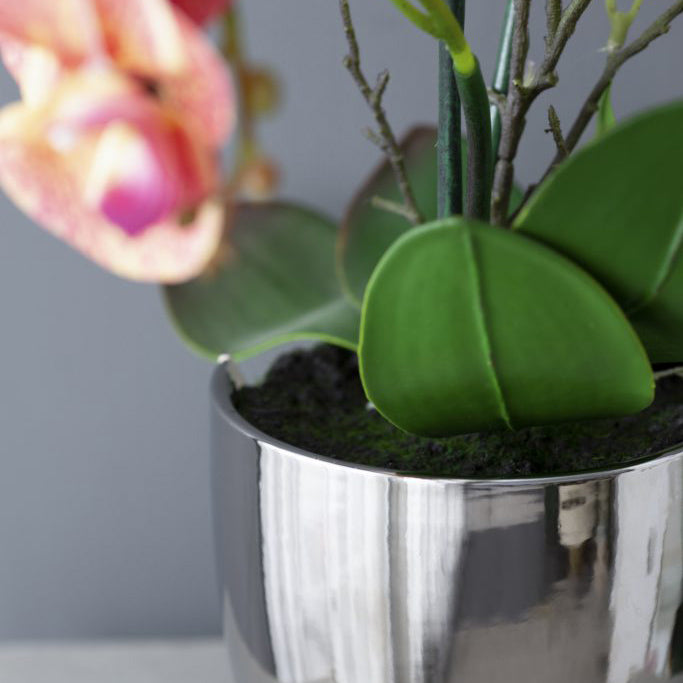 Orchid Artificial Potted Plant - Medium