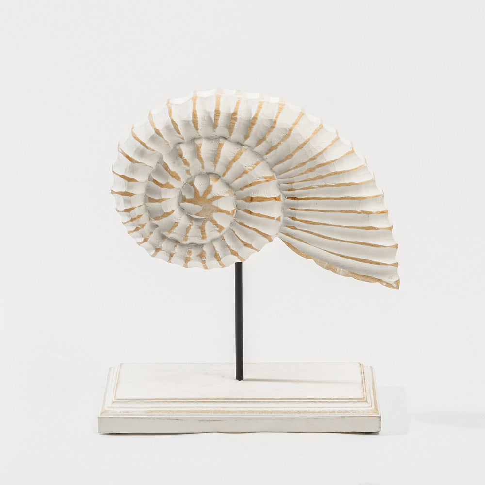 Nautilus Carved Wooden Decorative Sculpture - Vintage White