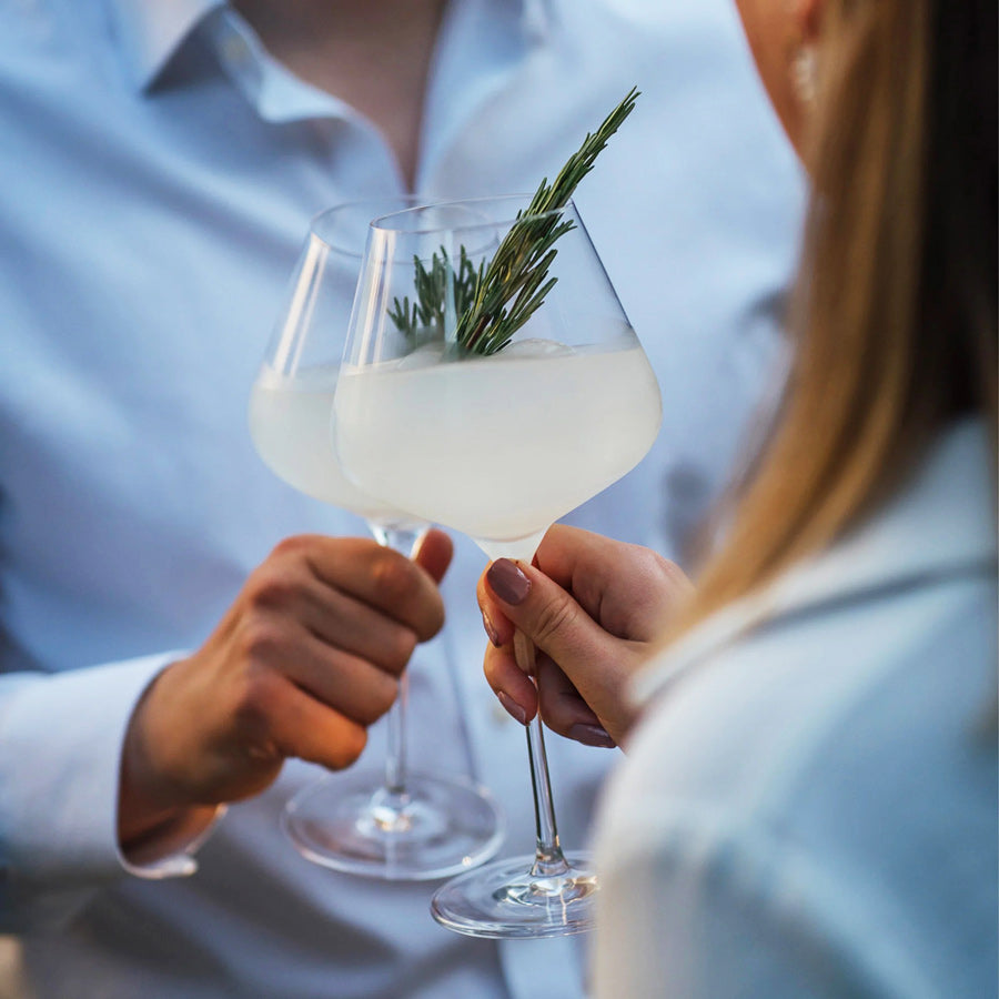 Quatrophil Burgundy Glasses 710ml, Set of 2