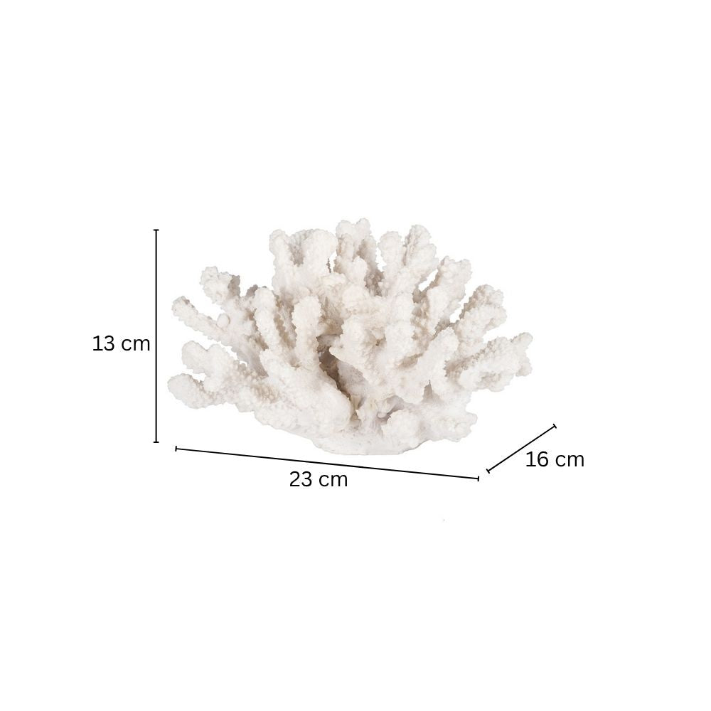 Ocean Coral Decorative Sculpture - White