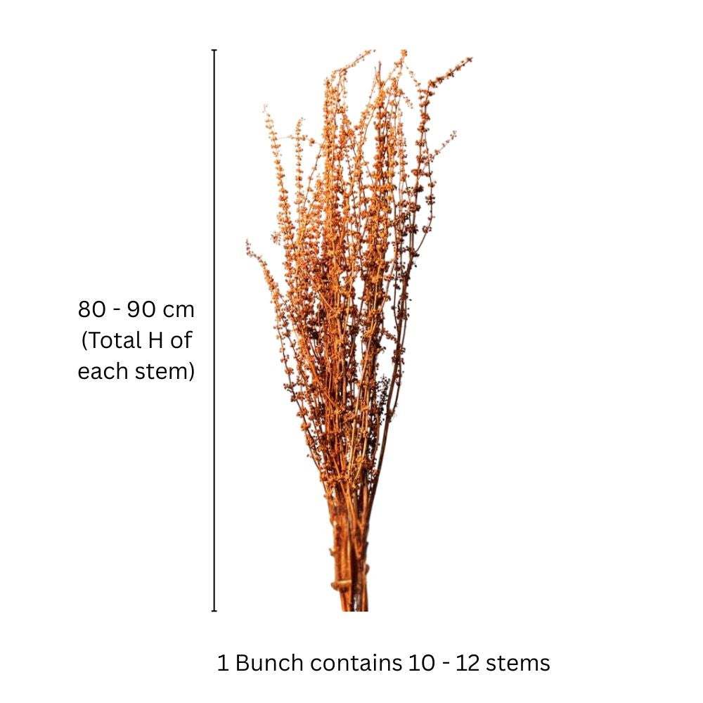 Palam Dried Bunch - Orange