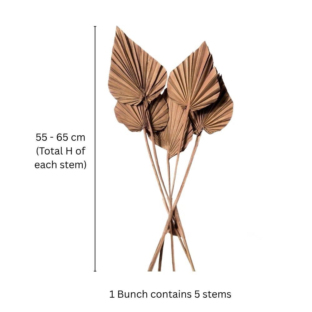 ESQ Living Palm Spear Bunch - Brown