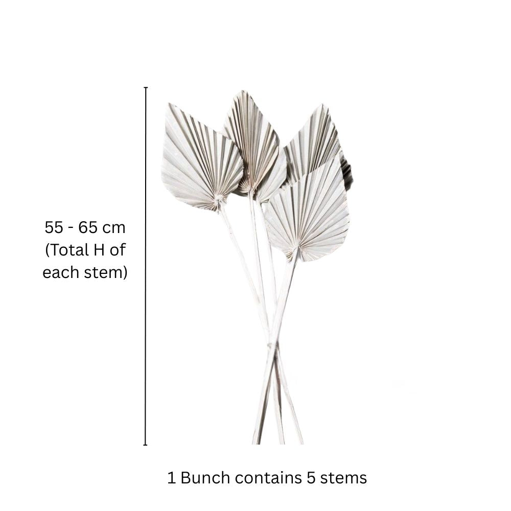 Palm Spear Bunch - White