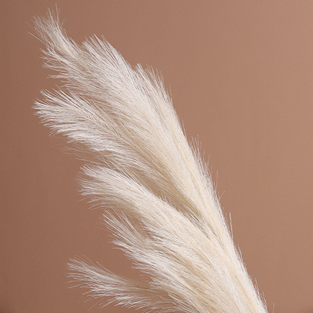 Pampas Reed Faux Stem - Cream