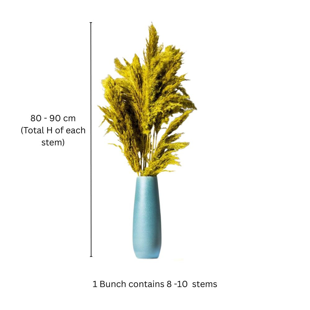 Pampas Dried Bunch - Yellow