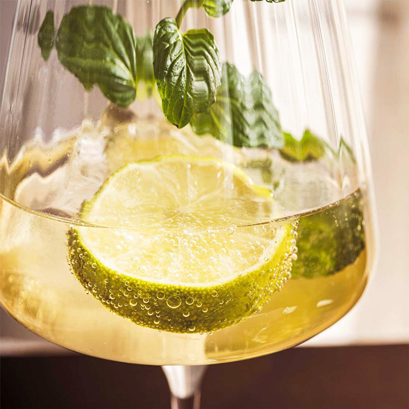 Paolo White Wine Glasses 540ml, Set of 4