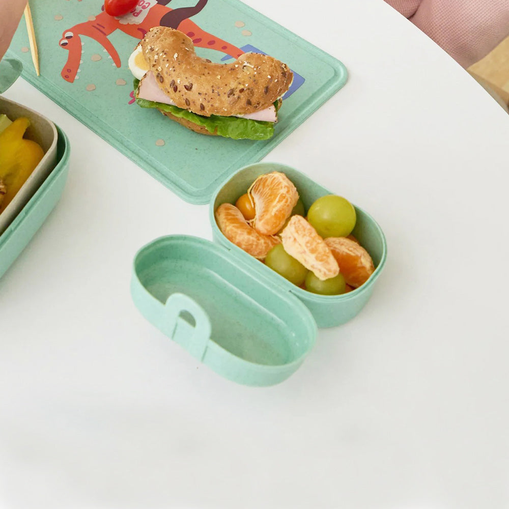 Pascal Kids Mini Snackbox - Dino Green