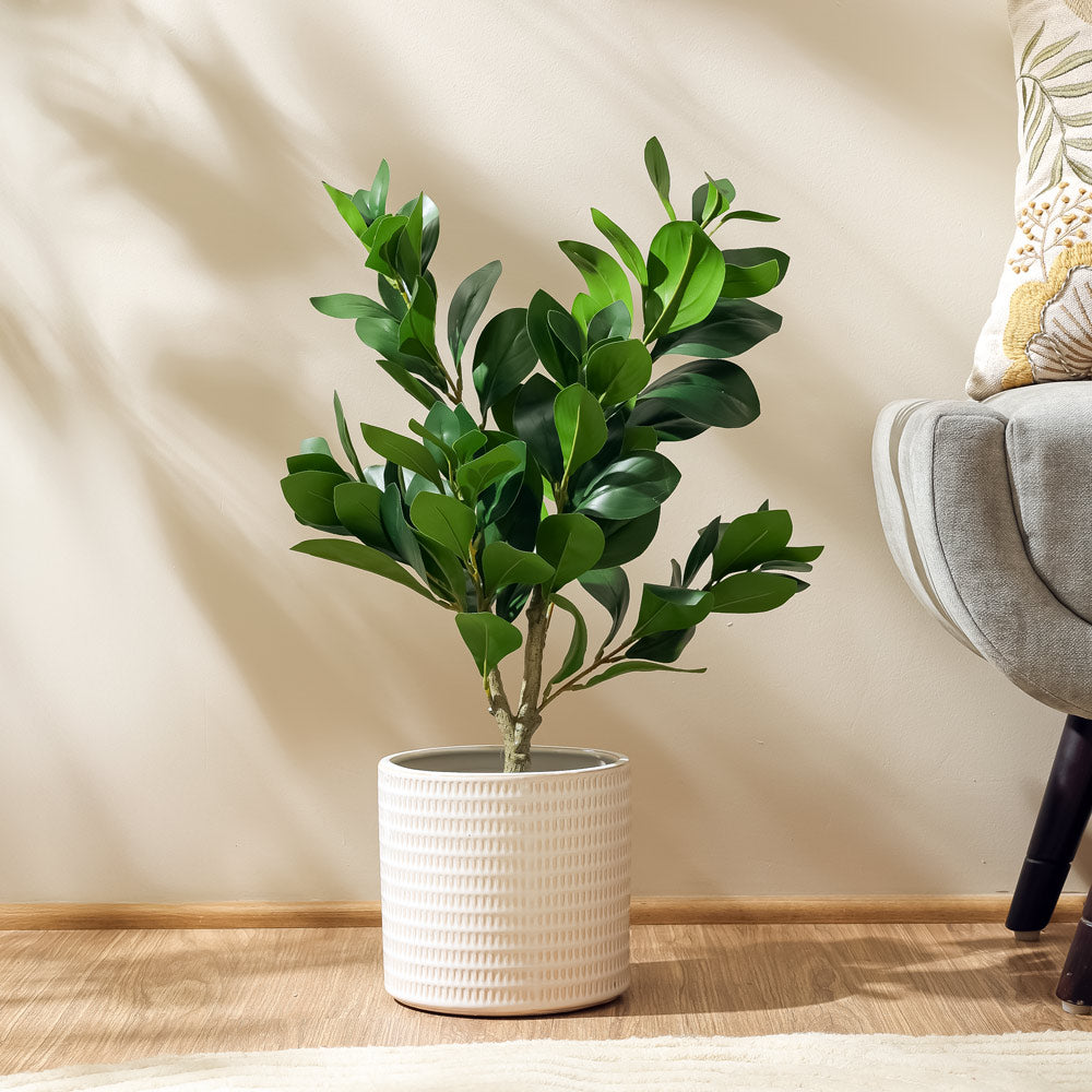 Peperomia Artificial Potted Plant - Small