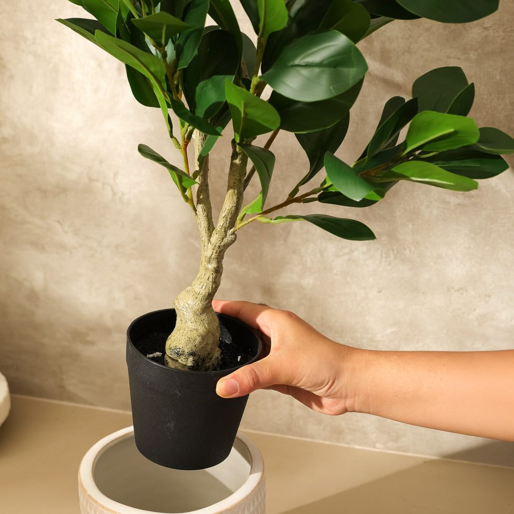 Peperomia Artificial Potted Plant - Small