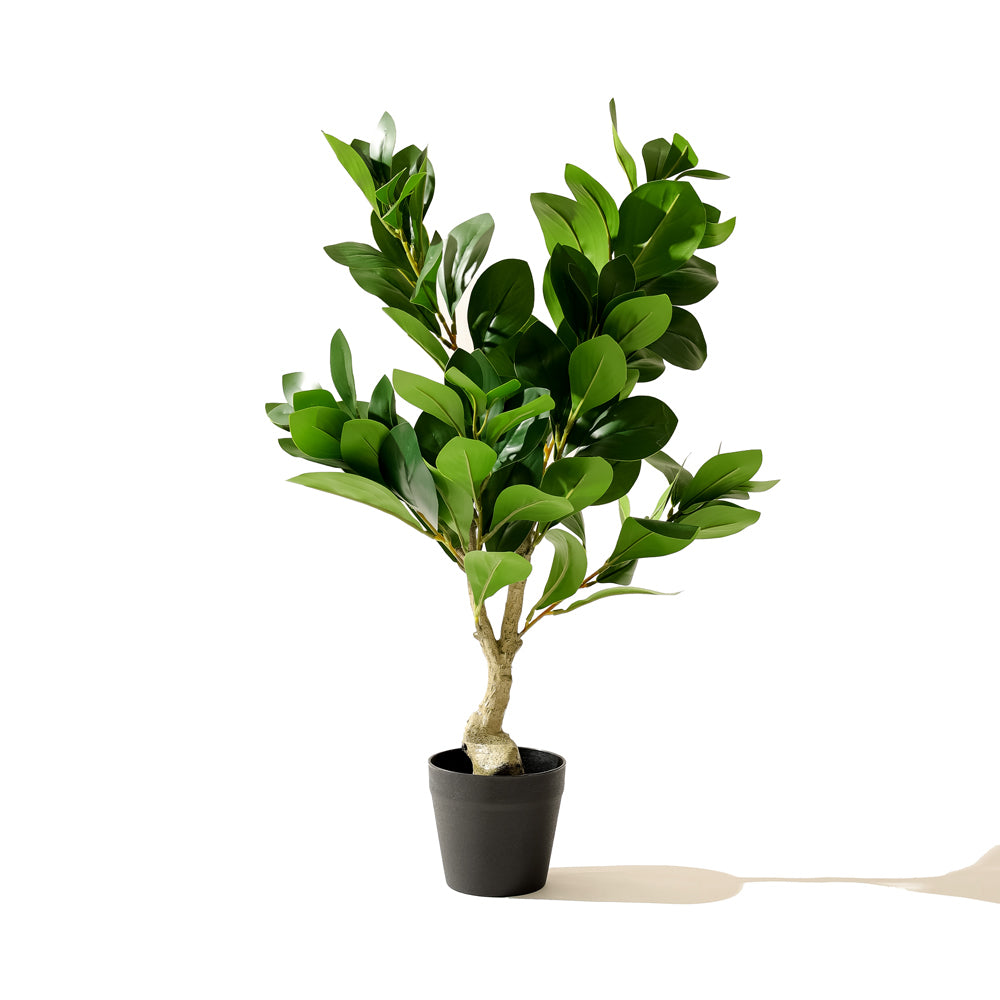 Peperomia Artificial Potted Plant - Small