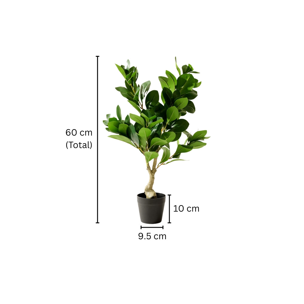 Peperomia Artificial Potted Plant - Small