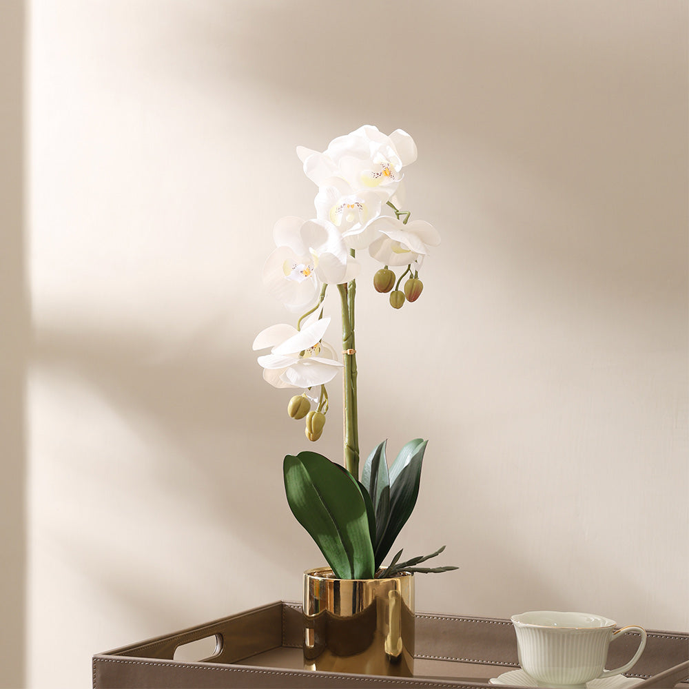 Phalaenopsis Orchid Artificial Potted Plant Medium - White