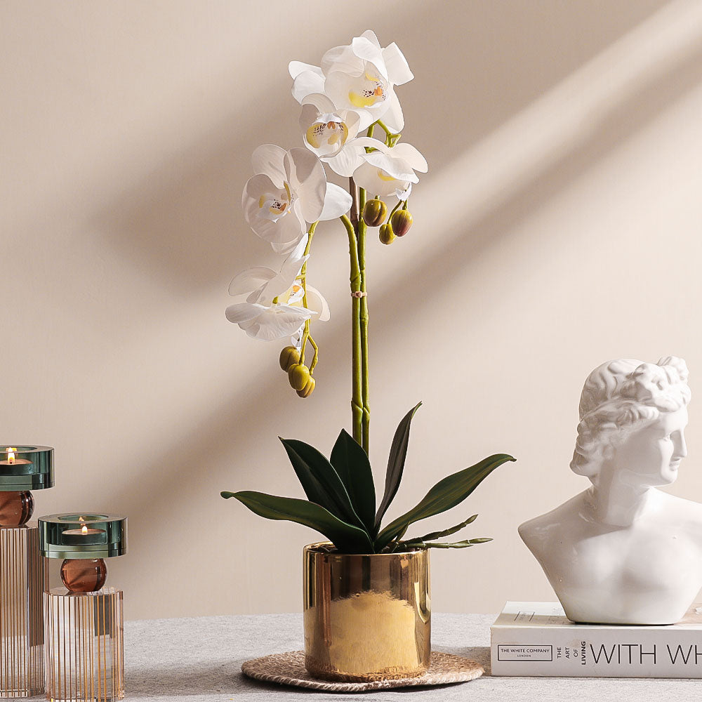 Phalaenopsis Orchid Artificial Potted Plant Medium - White