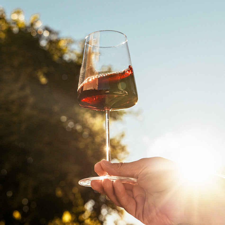 Power Red Wine Glasses 520ml, Set of 2