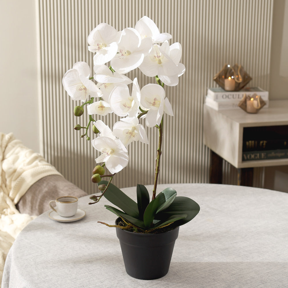 Real Touch Orchid Artificial Potted Plant Tall - White
