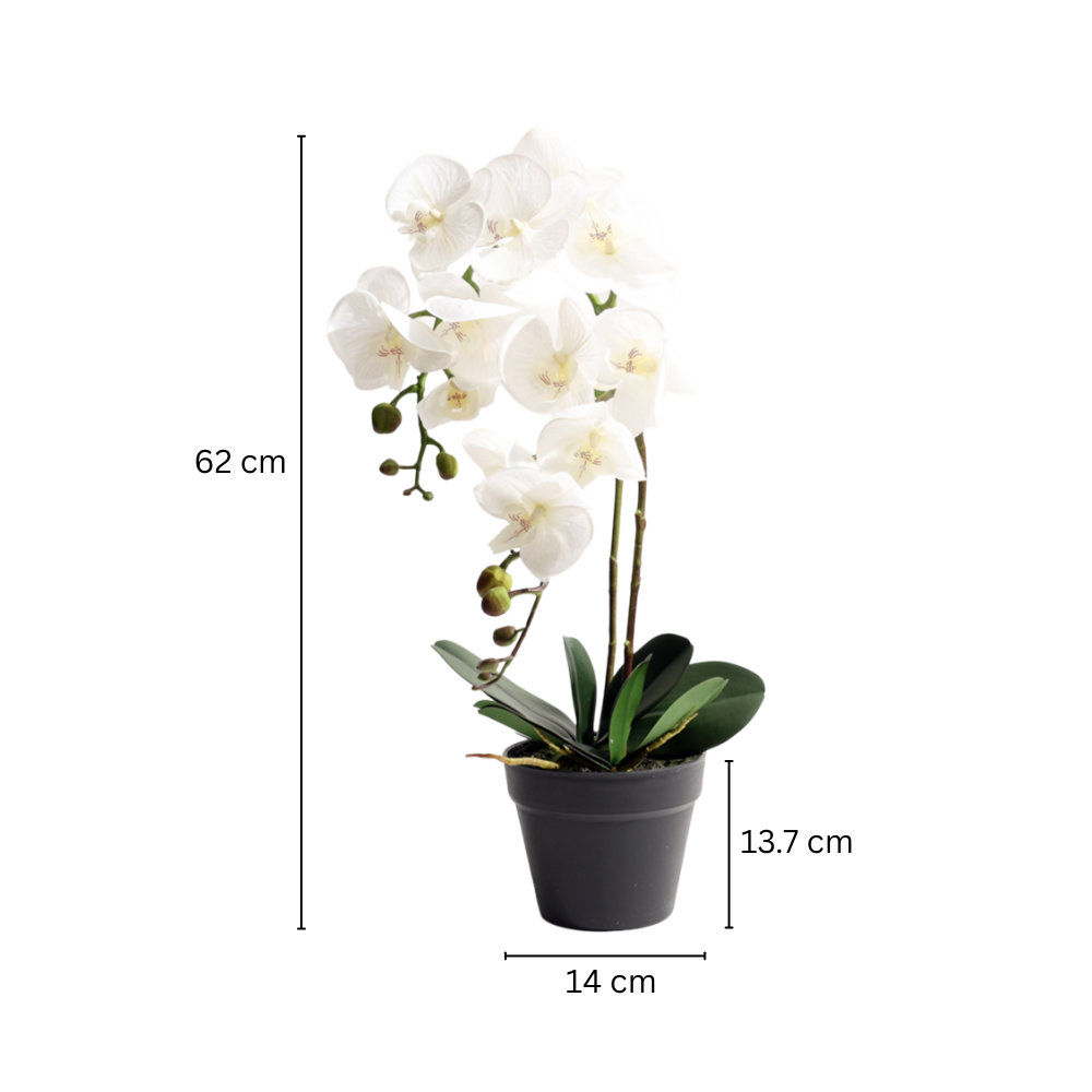 Real Touch Orchid Artificial Potted Plant Tall - White