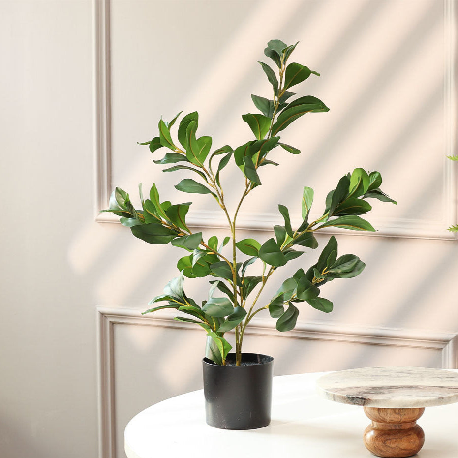 Peperomia Artificial Potted Plant - Medium