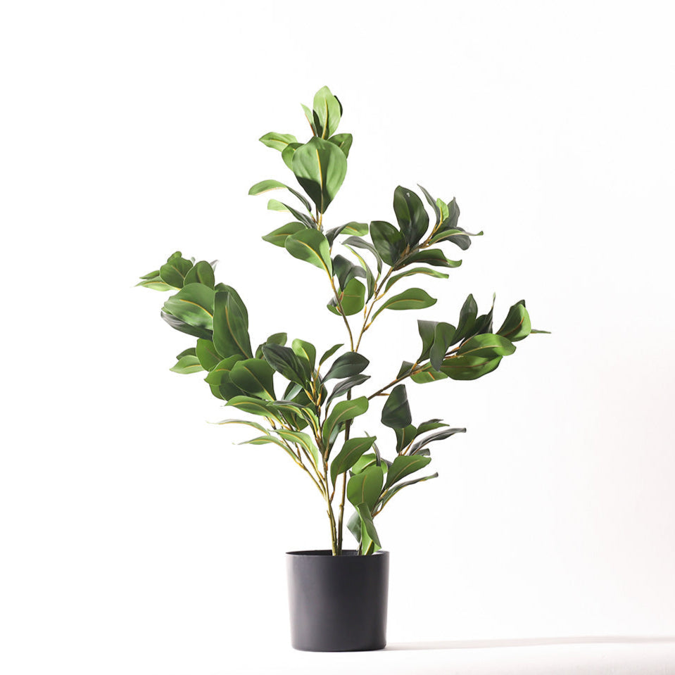Peperomia Artificial Potted Plant - Medium