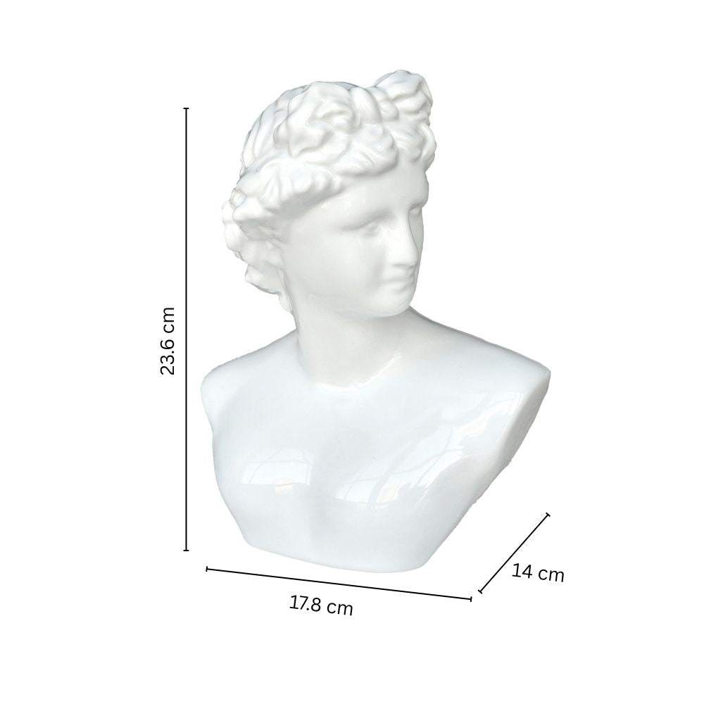 Roman Bust Sculpture Medium - White