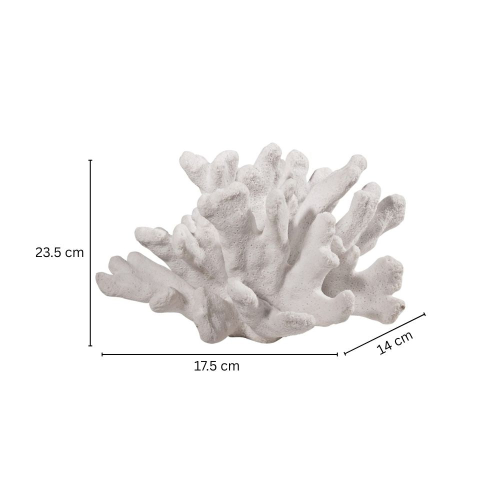 Sea Coral Decorative Sculpture - White