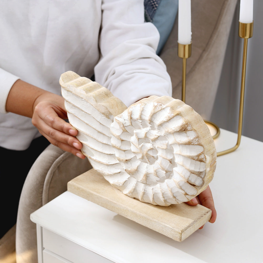 Seashell Mango Wood Sculpture Medium - Vintage White