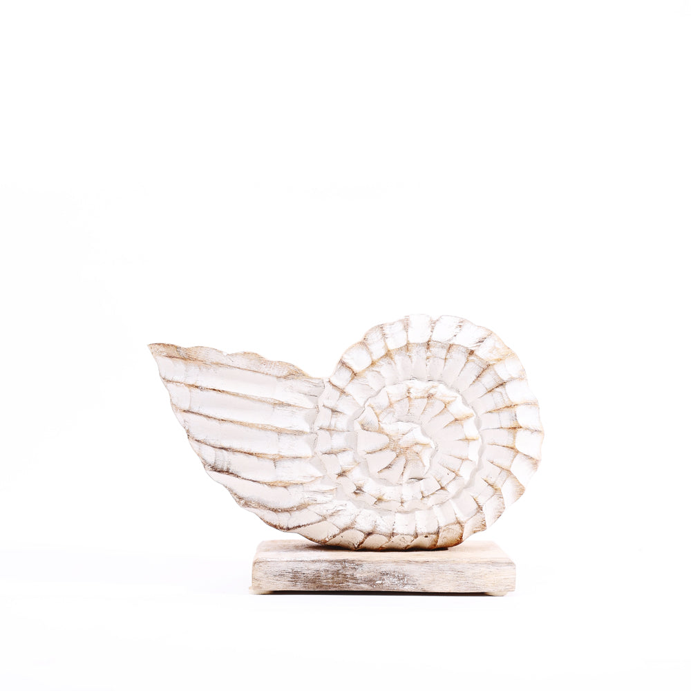 Seashell Mango Wood Sculpture Small - Vintage White