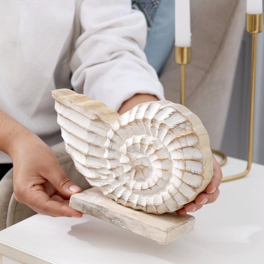 Seashell Mango Wood Sculpture Small - Vintage White