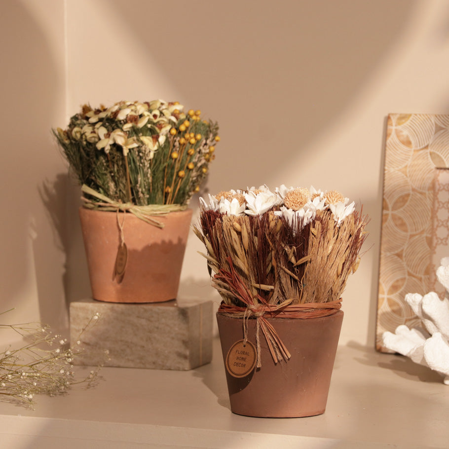 Sola Potted Bouquet - White Beige