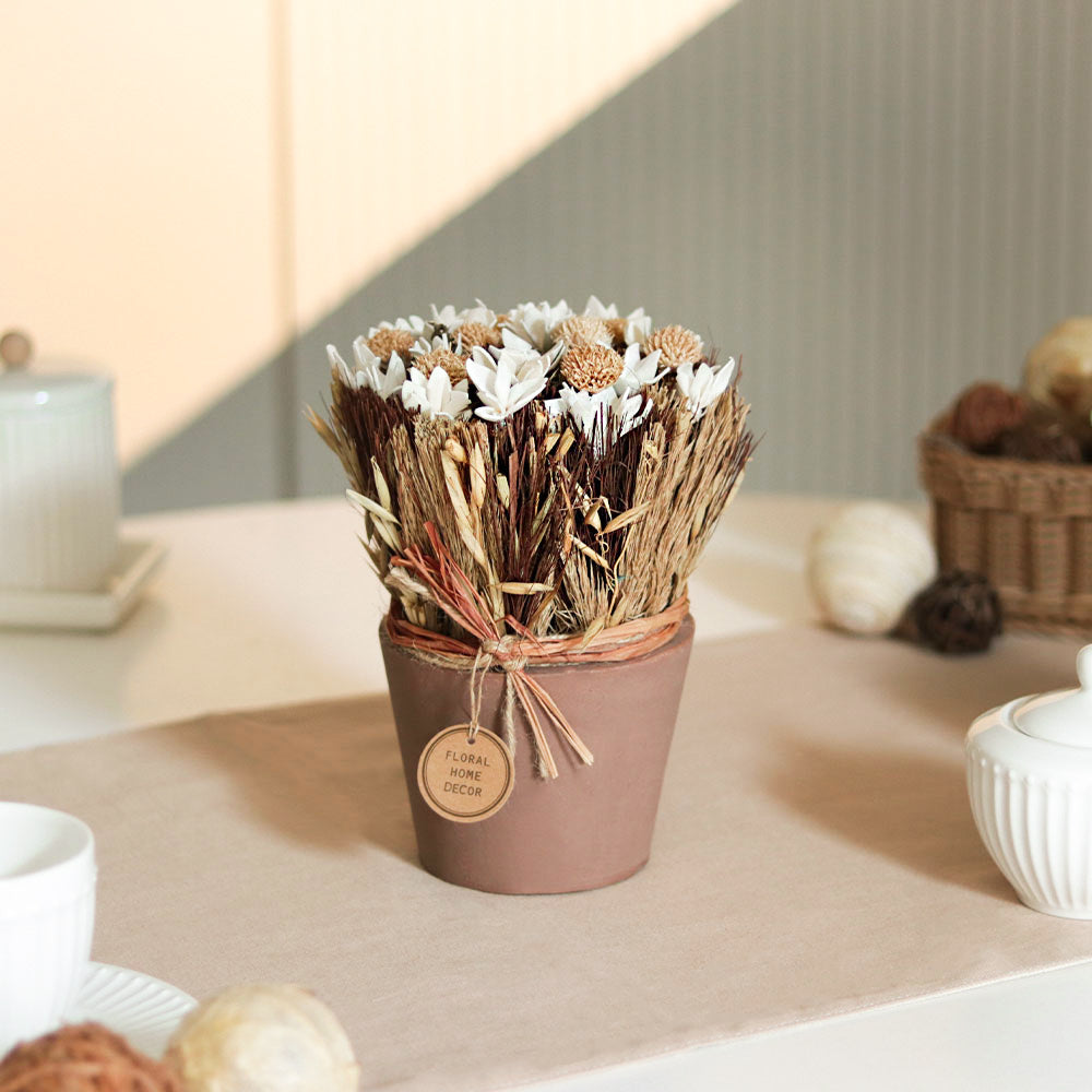 Sola Potted Bouquet - White Beige
