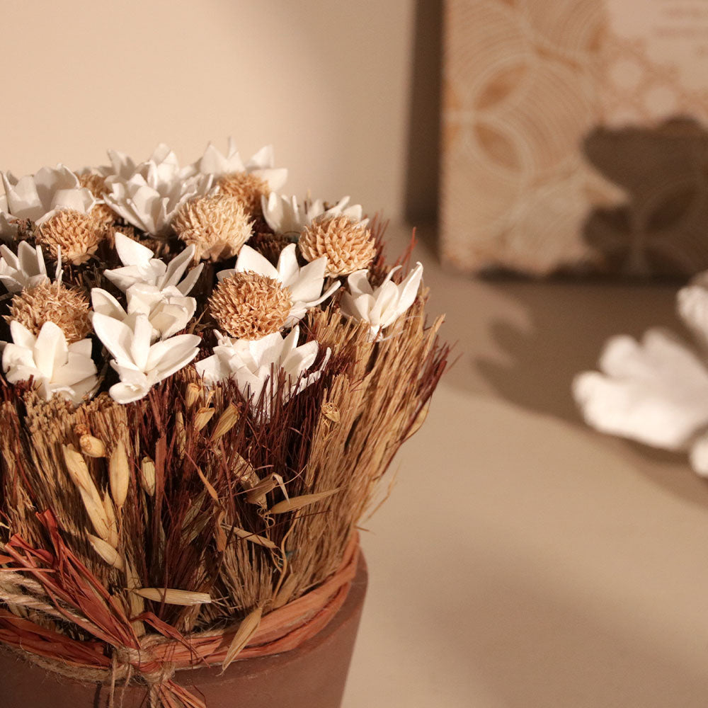 Sola Potted Bouquet - White Beige