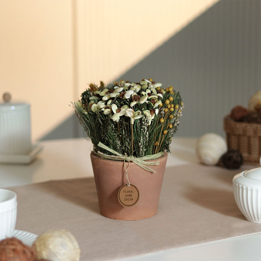 Sola Potted Bouquet - Yellow Green