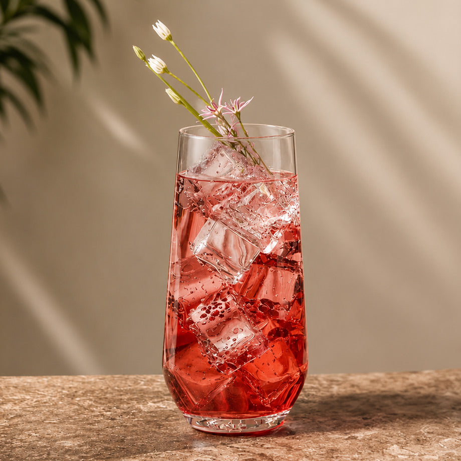 Splendour Highball Glasses 490ml, Set of 6